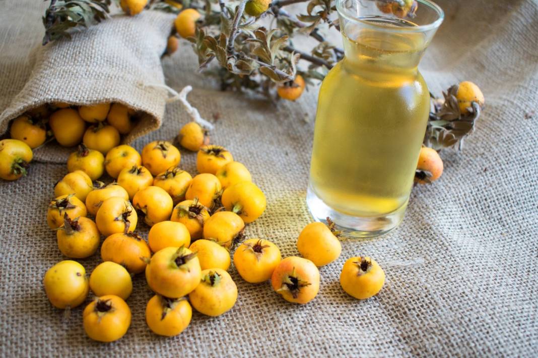 Doğada kendiliğinden yetişiyor, yiyen şifa buluyor 7